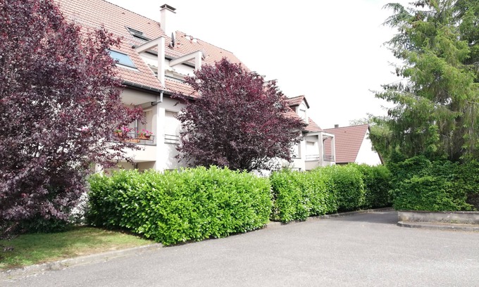 Ensisheim Apartment | Duplex apartment on the ground floor with terrace facing south