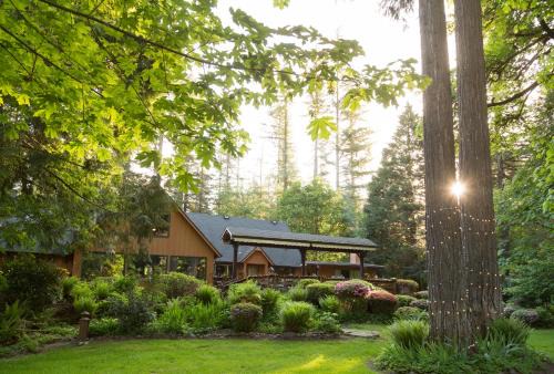 Vida Cabin | Eagle Rock Lodge