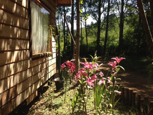 Pucon House | Eco-Cabañas Quetroleufu