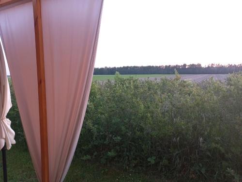 Losice Villa | Eco zacisze