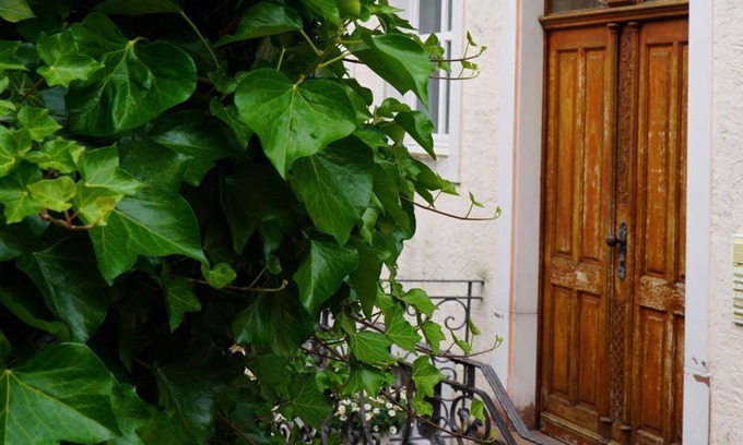 Neuerburg Apartment | Eifel Fewo - 4-bed vacation apartment shower/WC, 2 bedrooms