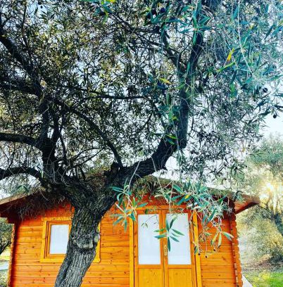 Escalona Resort | El Bosque de Ribera