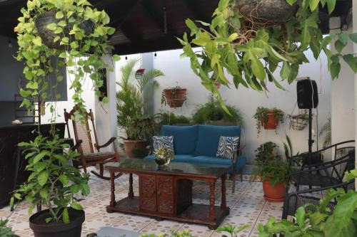 Sector 1 Nor-Oeste Bed & Breakfast | El Jardin de la Nonna