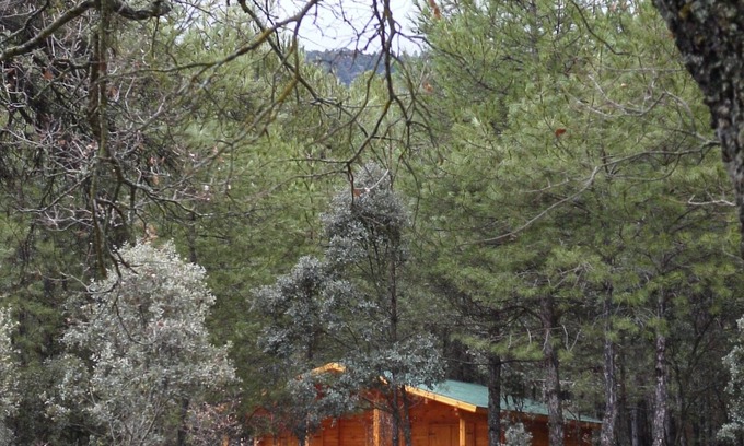 Canamares Cabin | El Llano de los Conejos Cabins - Cabin 10