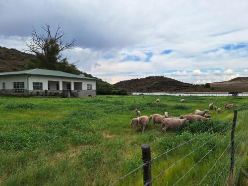 Gariep House | Elberfeld Karoo Lekkerte