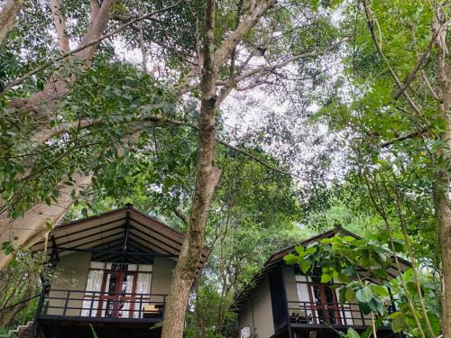 Sevanagala Hotel | Ele Camp Udawalawe