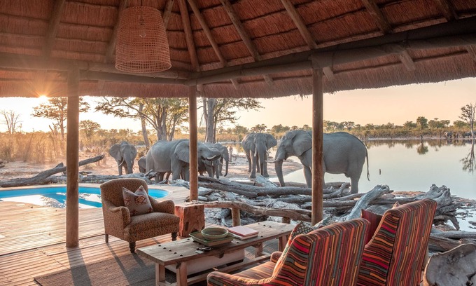 Khwai Other | Elephant Pan