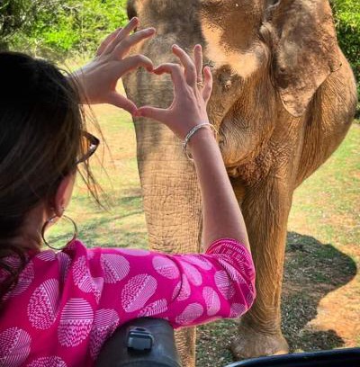 Sevanagala House | Elephant Safari Lodge