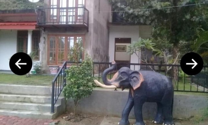 Damana House | Elephant View Hotel