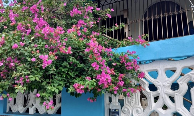 Barrio La Isabelita House | Eliana Rose