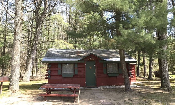Grawn Cabin | Ellis Lake Resort - Birch Log Cabin-Interlochen/Traverse City