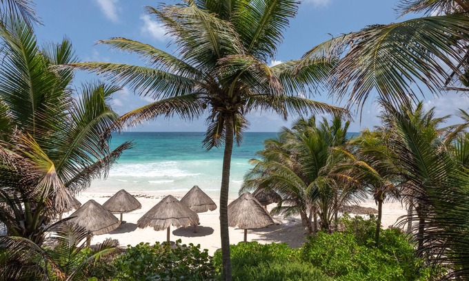 Zona Hotelera Resort | Encantada Tulum