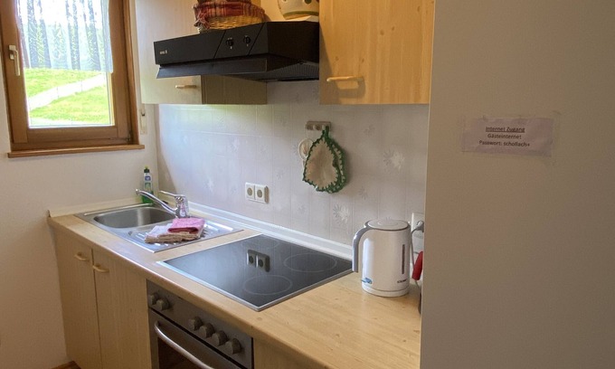 Schollach Apartment | Enjoy a relaxing holiday in the Bärenhof's old bakery