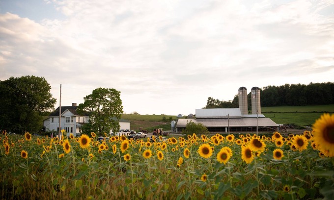 Dickerson Run Other | Entire Farmhouse -Maple Bottom Farm Bed & Breakfast