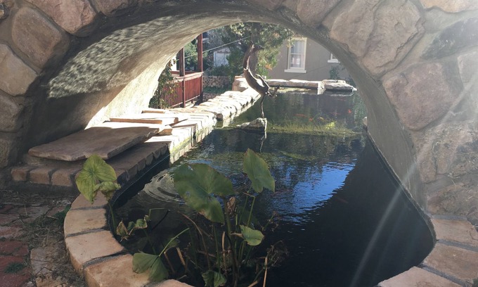 Bisbee House | Entire Mermaid Castle with Giant Koi Ponds in Downtown Bisbee
