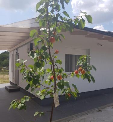 Godollo Apartment | Erdőszéli apartman