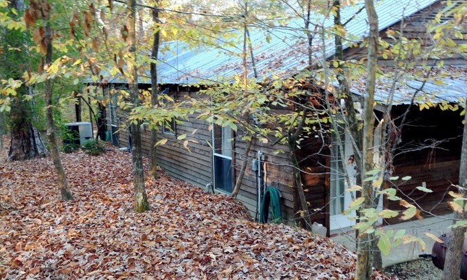 Roxie Cabin | Escape to the peace and quiet of the forest. No planes, trains, highway noise