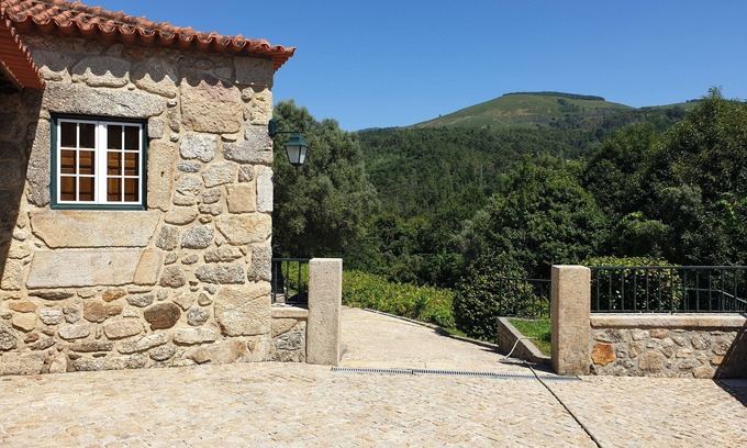 Bico Other | Estate of Vinha Velha