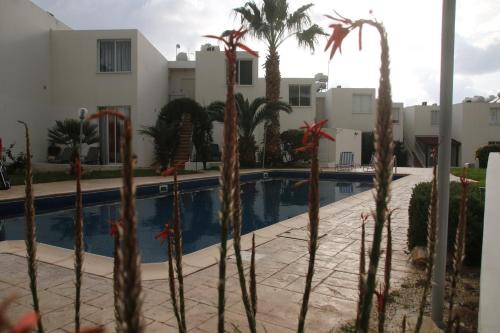 Peyia Town Apartment | Evros Peyia & Coral Bay Seaview Apartment