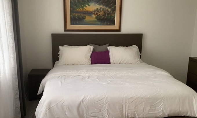 Ottawa Division House | Exceptional 3 bedroom Townhouse