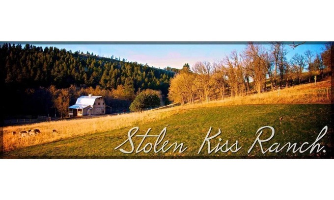 Deadwood House | Exclusive,Prisitne, Close to Deadwwod,Sturgis,Spearfish,20 acres, Pets Welcome.