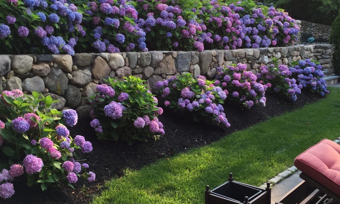 Hyannis Port House | Experience Hy-View Hyannisport Exceptional Summer Getaway