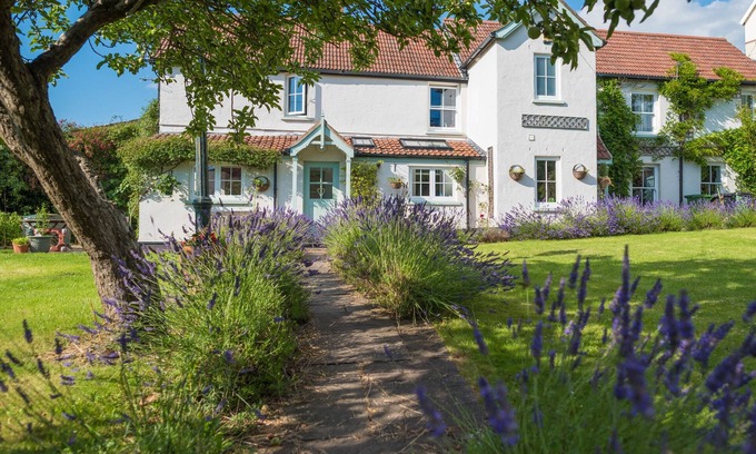 Braunton House | Fab big house near Devon’s surf beaches. Village centre and well equipped.