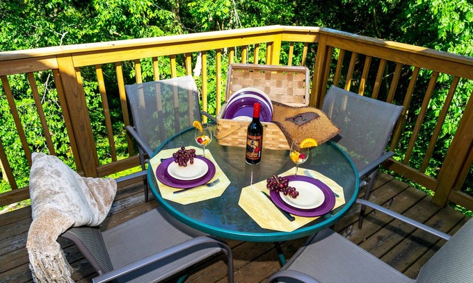The Galena Territory House | Fab Screened Porch, Bright and Spacious, Enjoy Nature and Wildlife from the Deck