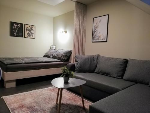 Zalec Apartment | Fajn Apartment