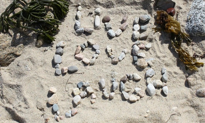 Black Point Cottage | Families, Friends, Pet Friendly.