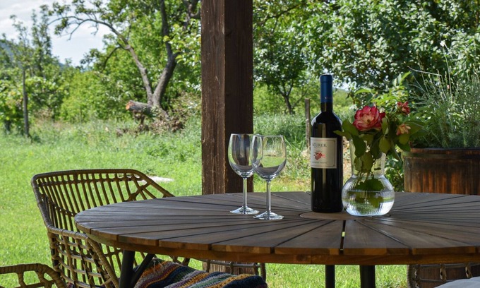 Slap House | Family and pet friendly village house with vineyards.