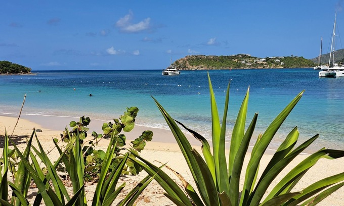 Freemans Bay Villa | Family Beach House. 1 minute to Pigeon Beach - FIRST TIME on RENTAL MARKET