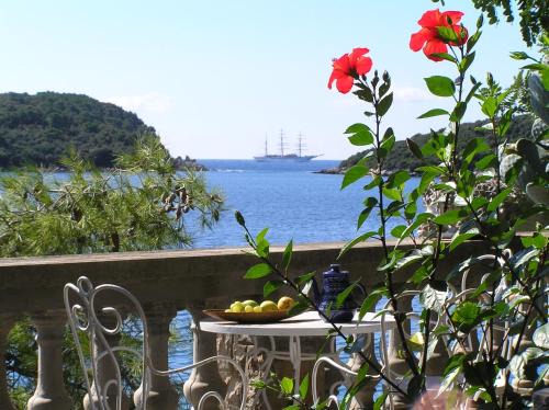 Molunat Apartment | Family Desin Apartments