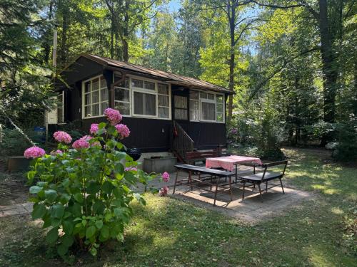 Stary Petrin Ski Chalet | Family fishing hut