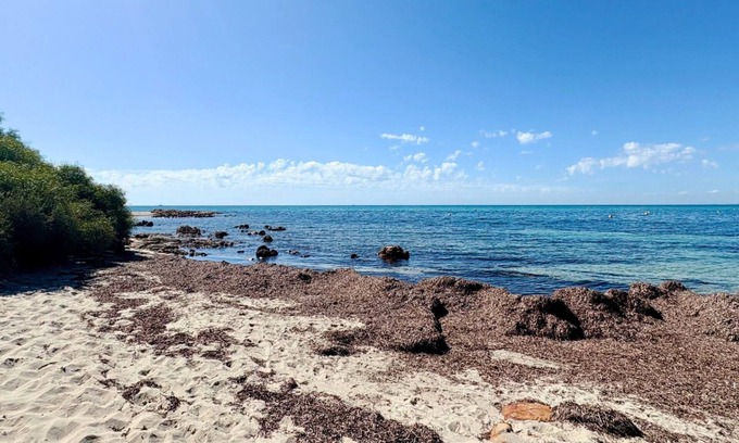 Broadwater House | Family Getaway - Cabin 50: Your Ideal Retreat for Comfort and Nature