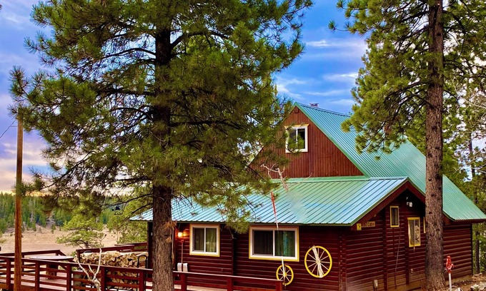 Meadow View Heights Cabin | Family & Pet friendly! THAT Cabin with the amazing view!