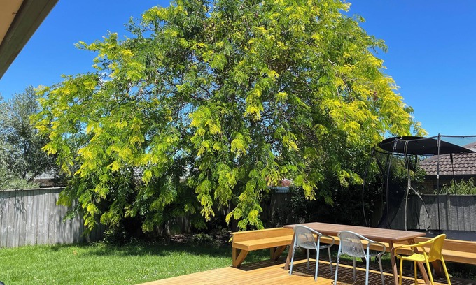 East Tamaki House | Family Retreat w/Playground Views in East Tamaki