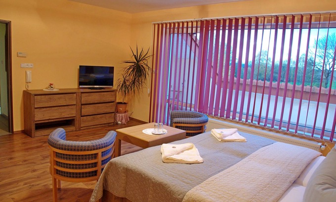 Ostrov House | Family room in the Ore Mountains UNESCO region