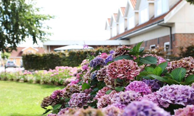 Tasinge Hotel | Fangel Kro & Hotel