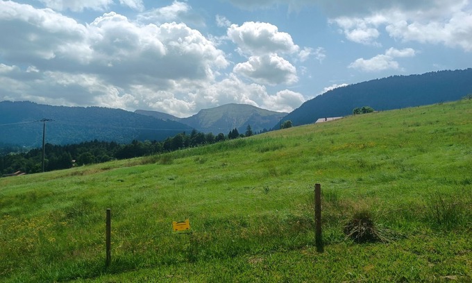 Steibis Apartment | Fantastic view in a quiet location