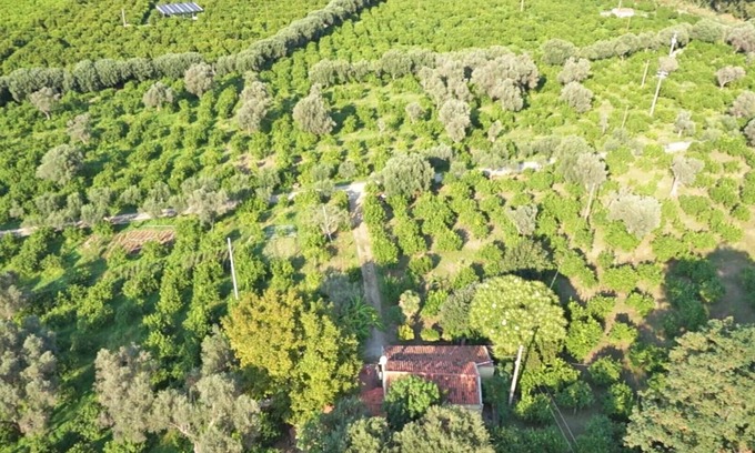 Mirto Other | Farm holidays with pool in Sicily, among the Nebrodi's park and close to the sea