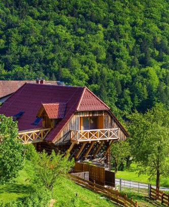 Lasko House | Farm Stay Pirc - Hayloft Apartment
