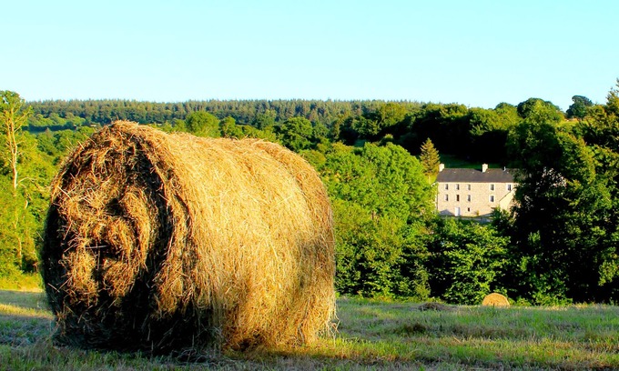 Saint-Sauveur-le-Vicomte House | Farmhouse Le Pont D'Albart in beautiful countryside near uncrowded beaches