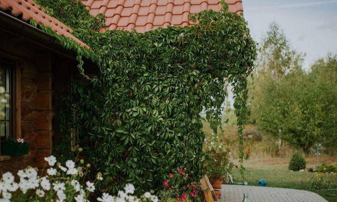 Miłomłyn House | Farmhouse ∙ 3 guests
