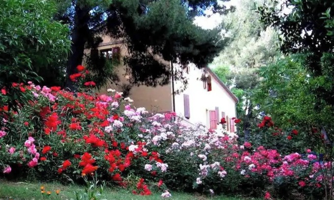 Monte San Vito Other | Farmhouse in the Quiet of the Countryside, Multi-family