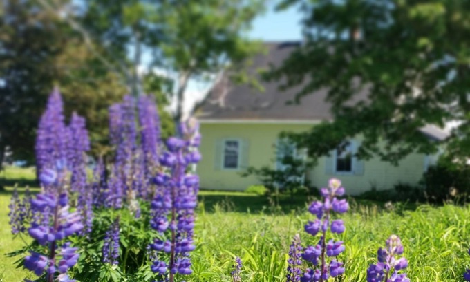 White Sands Cottage | Farmhouse on the sea