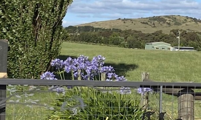 Blampied Other | Farmstay RetreatnFamily cottage Child & Pet friendly ornOma's romantic Retreat