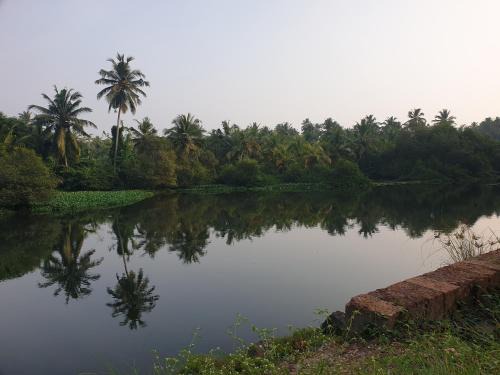 Kozhikode House | Farmville Riverside