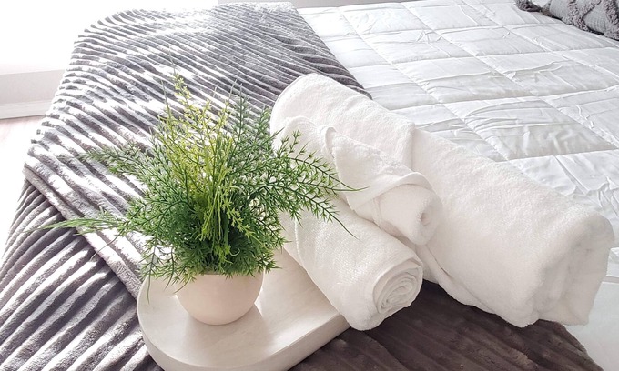 Brookhollow Apartment | Fashionable stylish apartment near Galleria