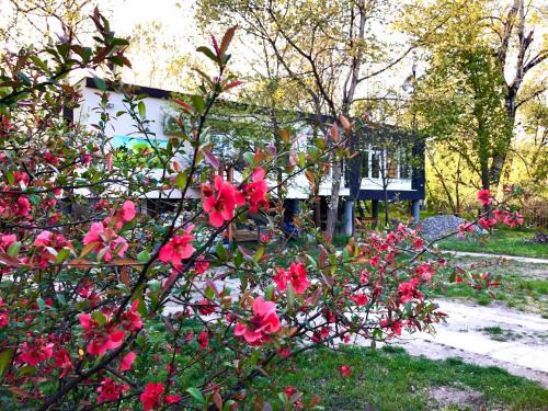 Baja House | Fekete Gólya Pihenőház
